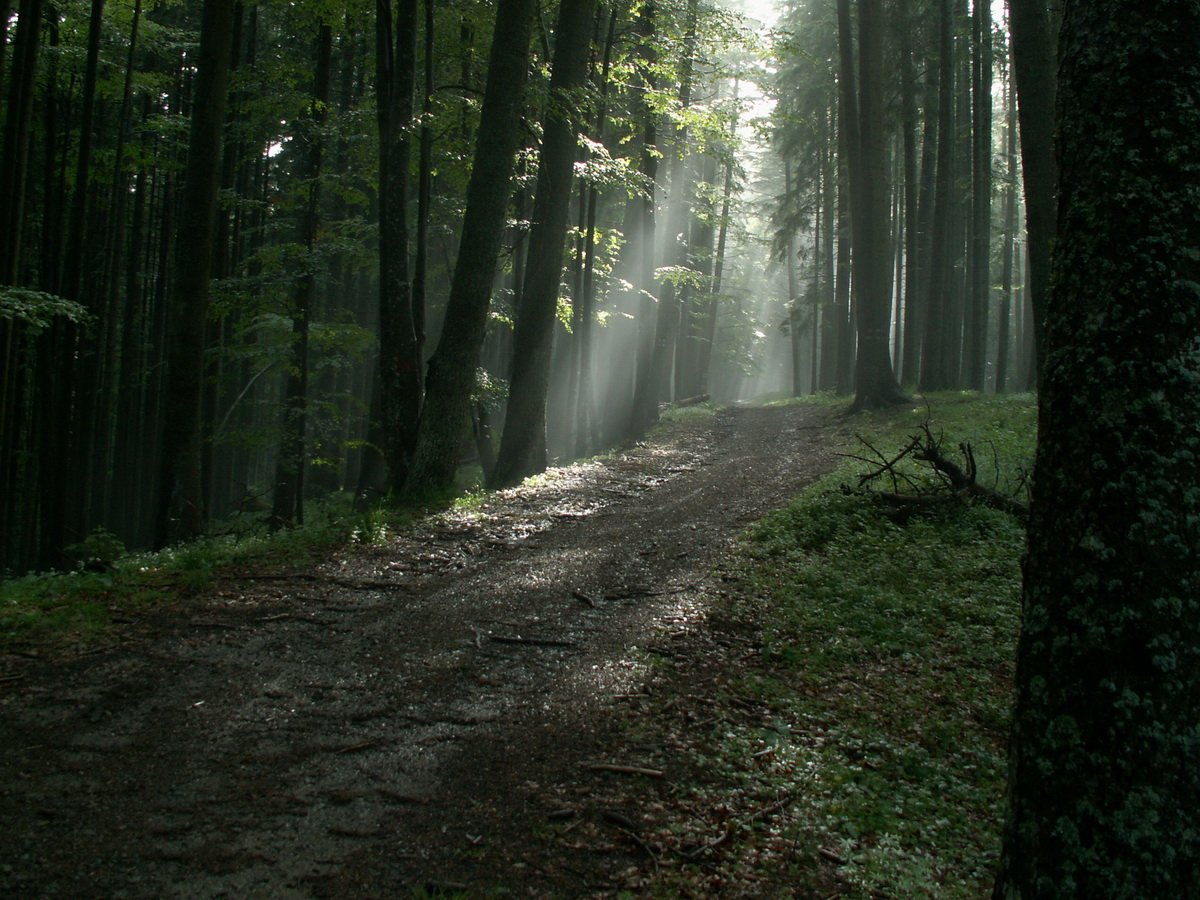 Image2