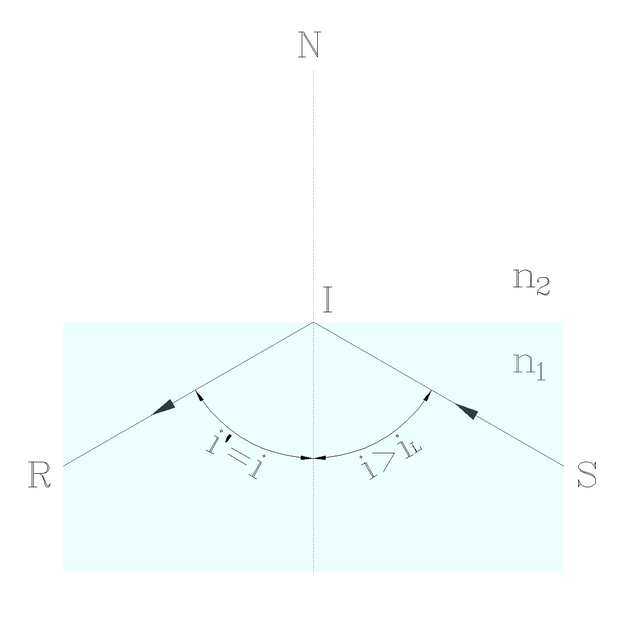 Image11